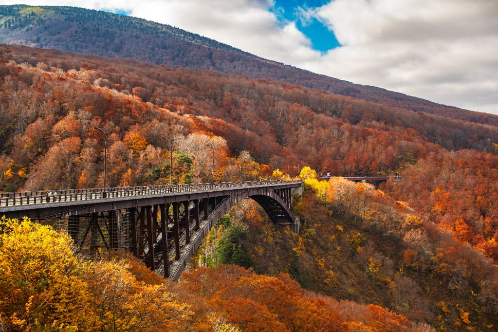 青森のおすすめ紅葉狩りスポット『城ヶ倉大橋』『中野もみじ山』と風情ある黒石『こみせ通り』そぞろ歩き