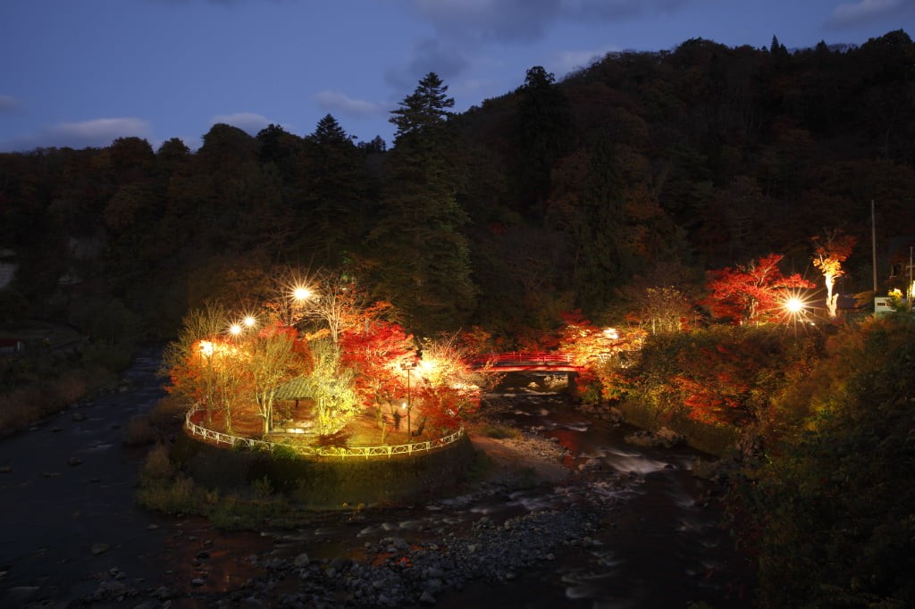 夜の紅葉絶景『中野もみじ山』ライトアップ鑑賞コース