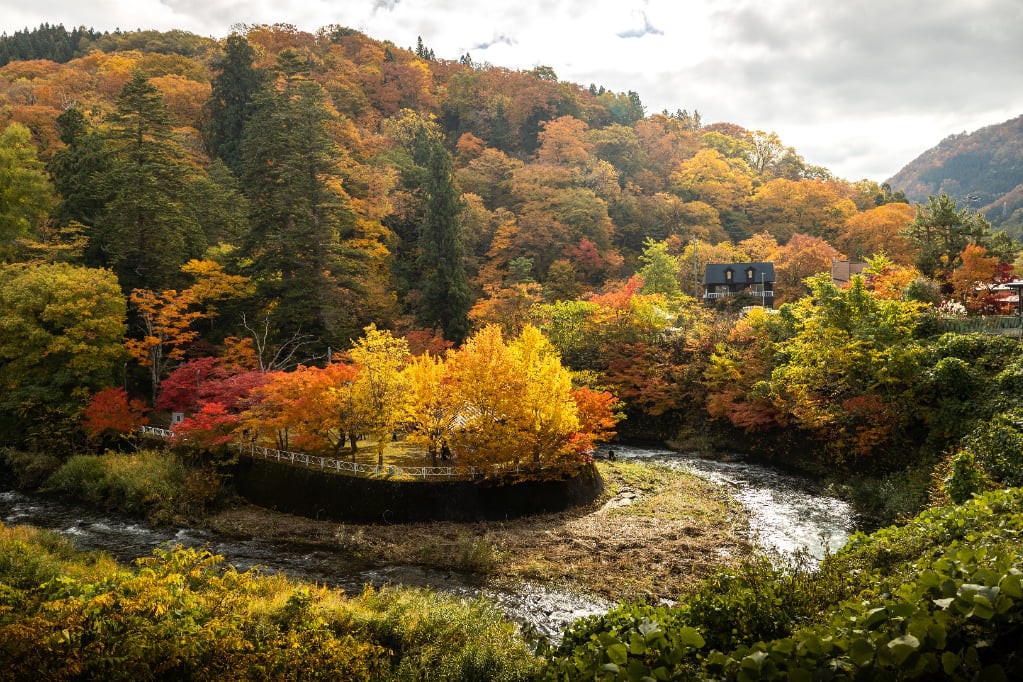 青森のおすすめ紅葉狩りスポット『城ヶ倉大橋』『中野もみじ山』と風情ある黒石『こみせ通り』そぞろ歩き image2